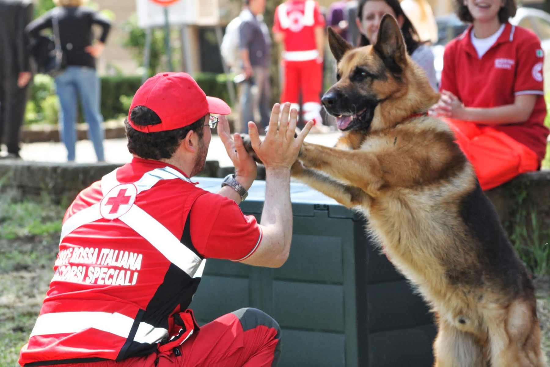 Attività Unità Cinofila della Croce Rossa di Roma